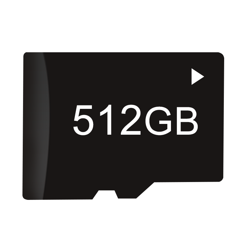 Class 10 Micro SD Card